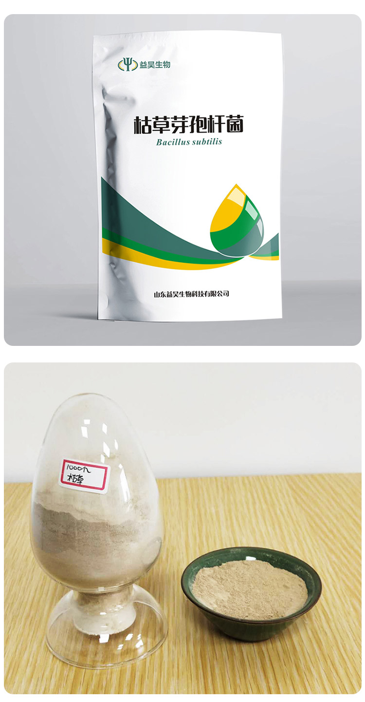 枯草芽孢杆菌