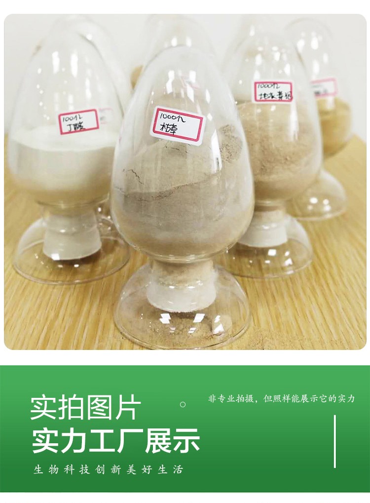 枯草芽孢杆菌