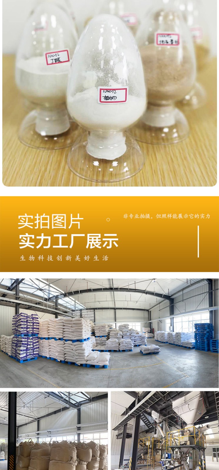 植物乳杆菌