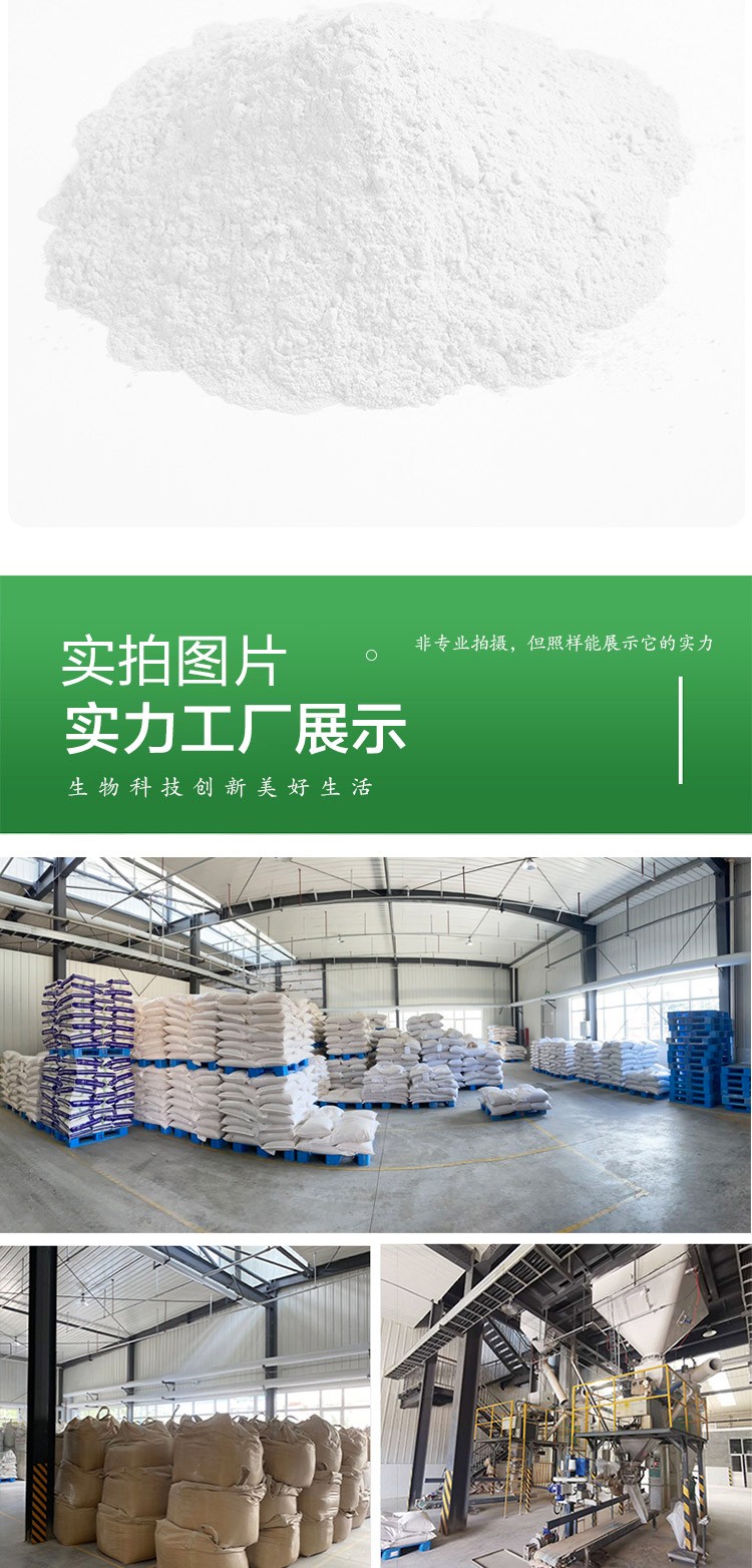 巨大芽孢杆菌