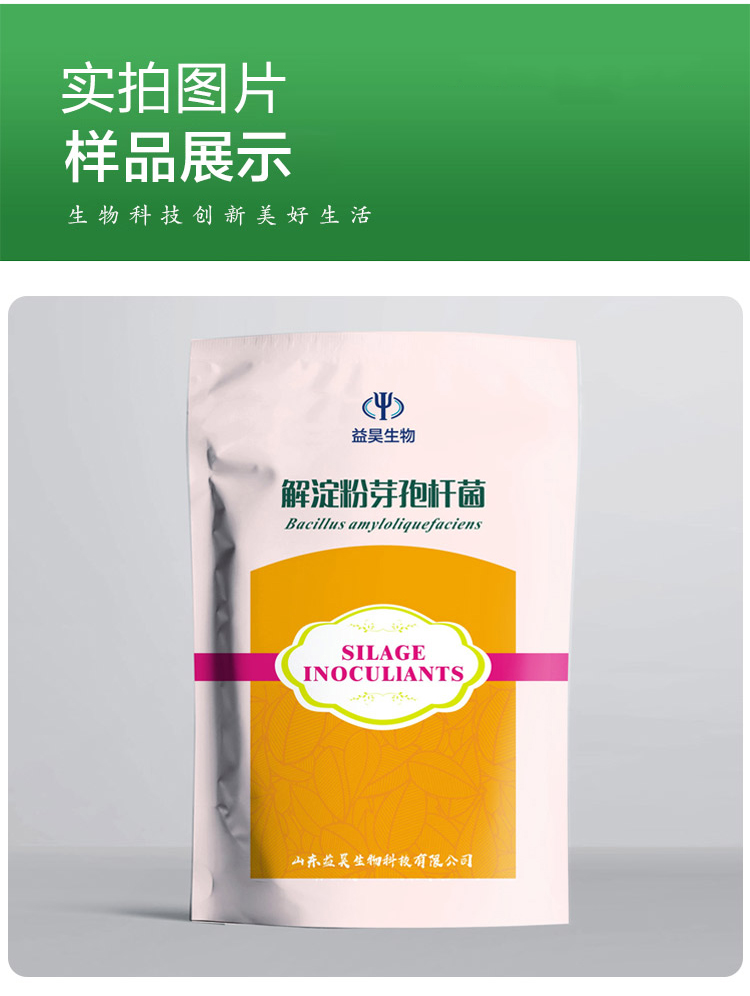 解淀粉芽孢杆菌 解淀粉芽孢杆菌