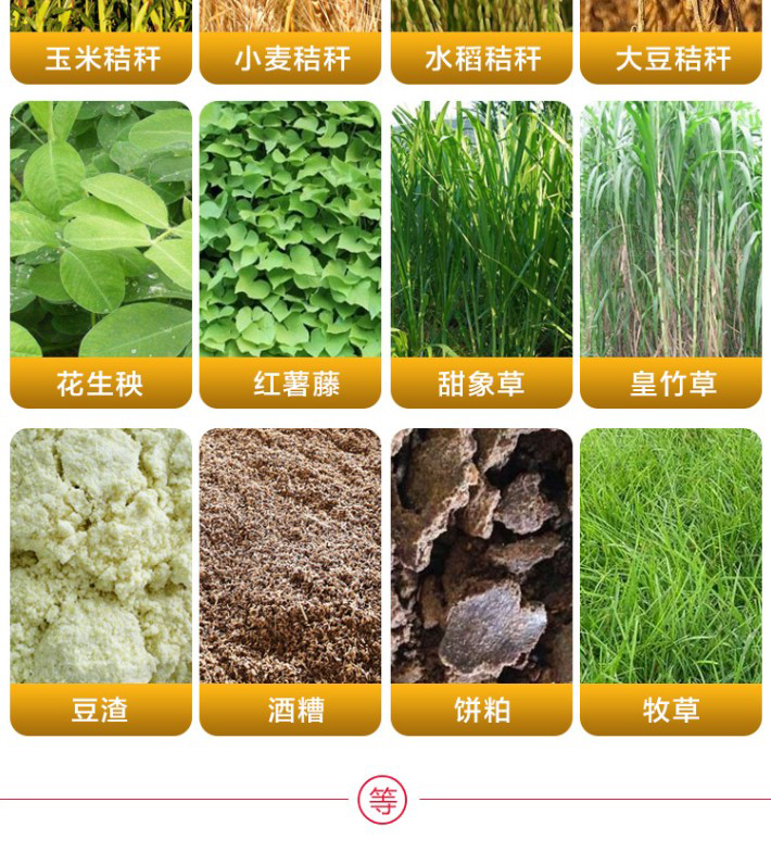 青贮元 青贮饲料发酵剂